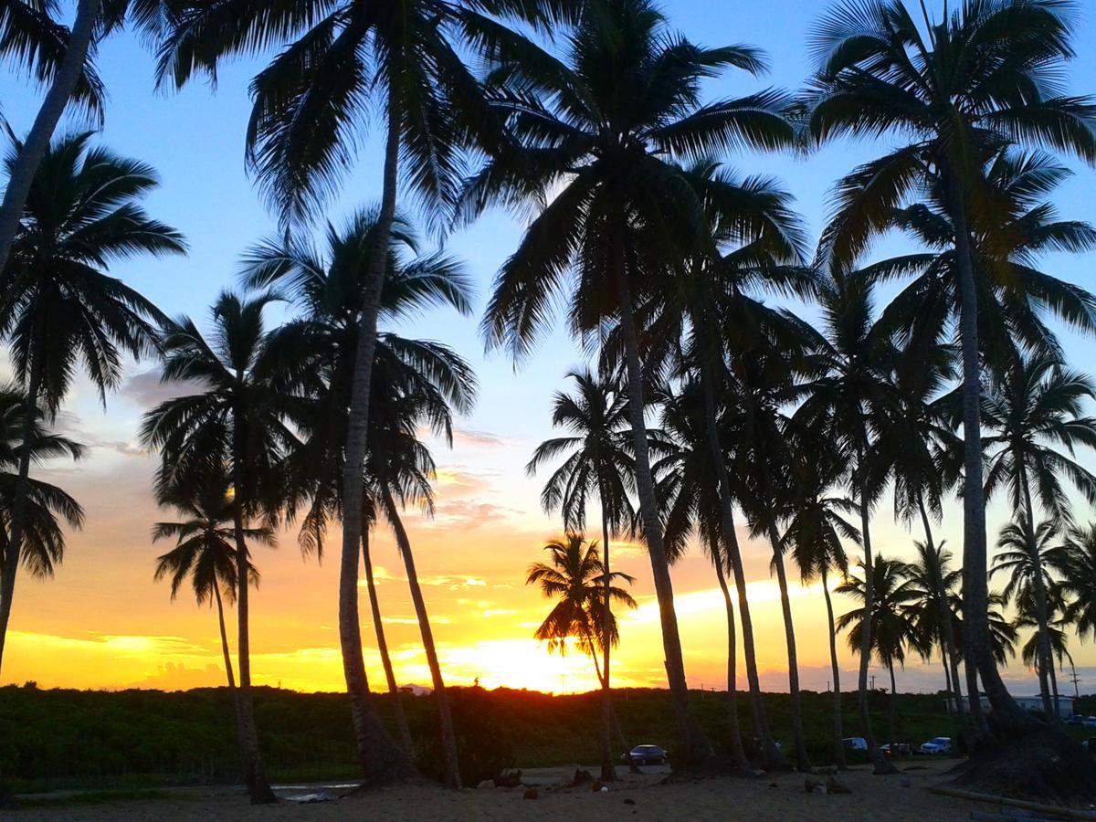 Riviera Punta Cana Eco Travelers エクステリア 写真